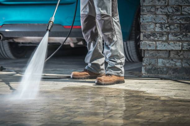 Best Dumpster Area Cleaning  in Harbor Springs, MI