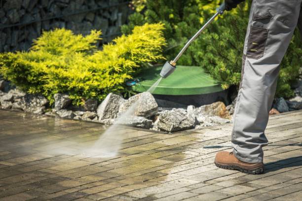Best Soft Washing  in Harbor Springs, MI