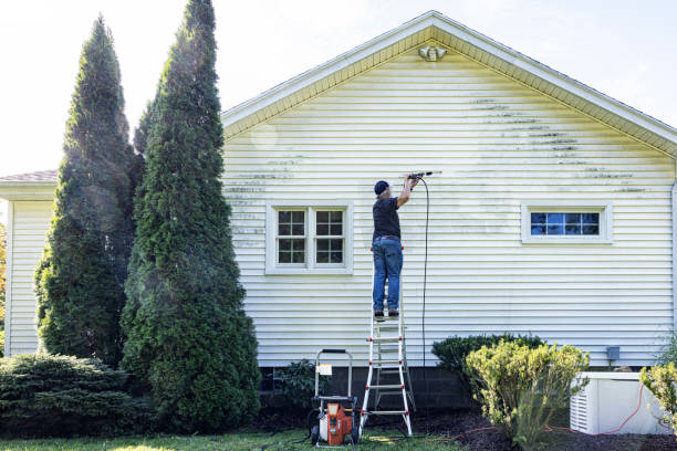 Best Sidewalk and Walkway Cleaning  in Harbor Springs, MI